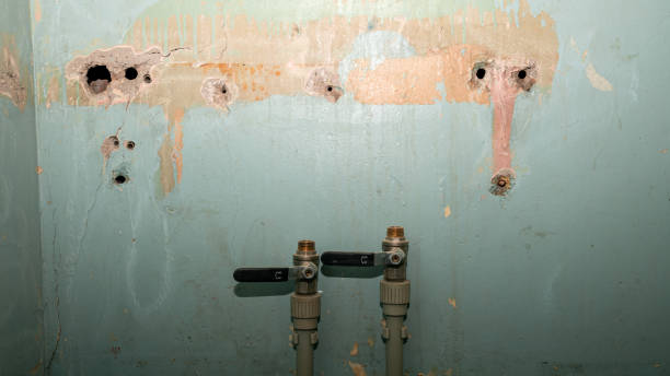 Best Professional water damage repair  in Morrow, OH