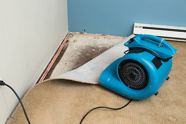 Professional Water damage restoration in Morrow, OH